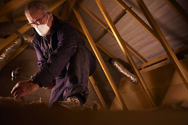 Best Insulation Inspection Services  in Monticello, UT