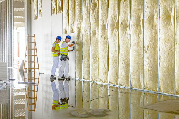 Best Insulation Contractors for Homes  in Monticello, UT